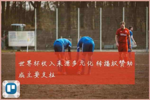 世界杯收入来源多元化 转播权赞助成主要支柱