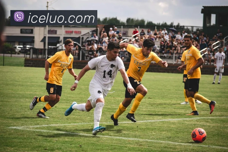 半岛综合官网服务体系